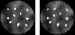 Figure 1. Phantom image (left) and SIRT reconstruction (right).