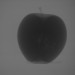 Figure 1. Raw X-ray image of an apple.